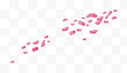 一堆粉红色花瓣