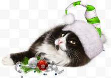 戴着绿色圣诞帽的黑色猫咪