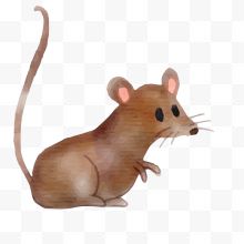 水彩手绘棕色的小老鼠设计...