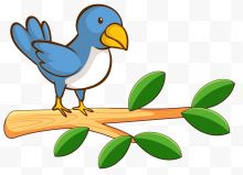 站在树枝上的蓝色小鸟