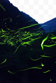 山林间绿色的萤火虫光...