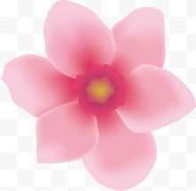 六瓣粉色小花