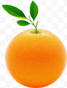 橙子 新鲜 香橙 橘子...