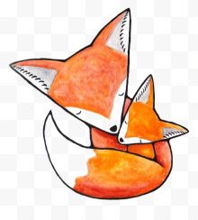 橙色狐狸