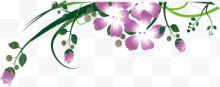 紫色花朵绿色植物约惠春季