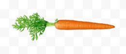 Carrot Png Pic