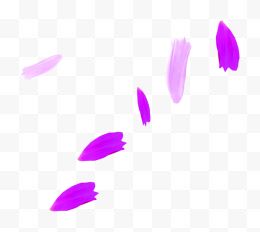 紫色抽象花瓣美景