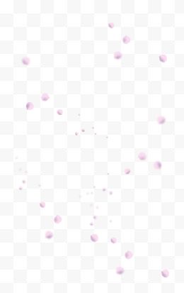 粉色花瓣样式网游宣传