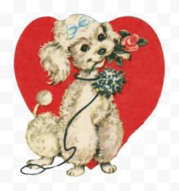 可爱的小狗拿着玫瑰