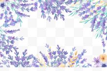 紫色薰衣草边框