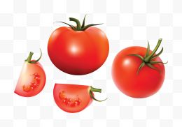 西红柿手绘