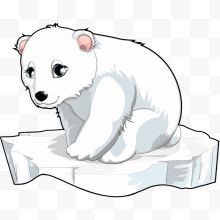 蹲在冰块上的北极熊