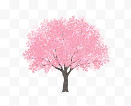 一颗手绘樱花树