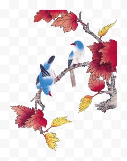 枫树上蓝色小鸟