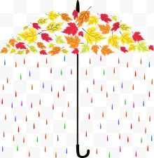 彩色雨滴树叶雨伞
