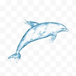 海豚形状水珠