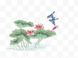 中国工笔画系列花鸟