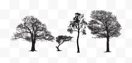 黑白线稿剪影树形状...