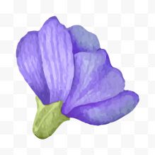 手绘水彩紫色花卉