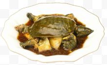 乌龟煲汤