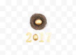 2017和鸟窝鸡蛋
