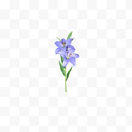 蓝色花朵绿植花枝