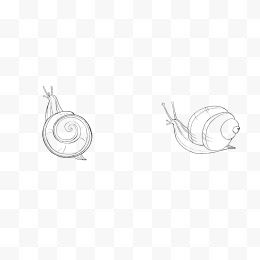 两只素描蜗牛