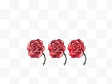 三多颜色渐变的玫瑰花...