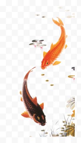 鱼水墨中国风春节