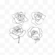 四朵白玫瑰