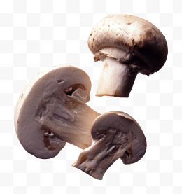 巴黎的蘑菇