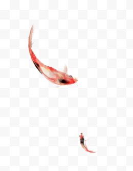 卡通手绘两条红鲤鱼