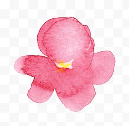 水印粉色樱花插画