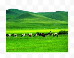 内蒙古呼伦贝尔草原风景图...