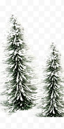 冬季树木欧式