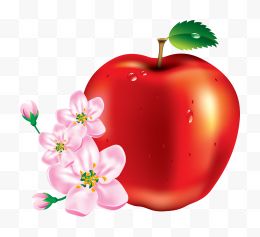 一个红苹果与粉色小花...