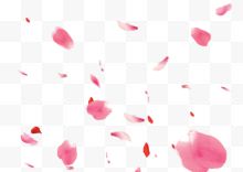 粉红色散落花瓣
