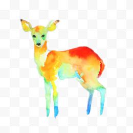 彩色的小鹿
