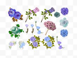 蓝色和紫色的玫瑰