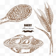 小麦与煎饼插画