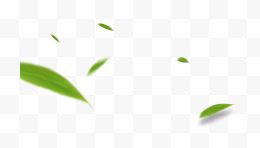 漂浮绿色竹叶