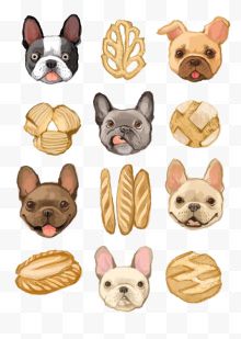 狗和面包