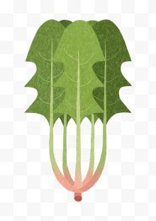 印刷绿色生菜