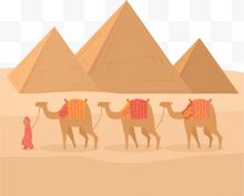 行走在埃及沙漠骆驼...