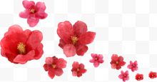 手绘红色花卉艺术海报