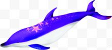 紫色鲸鱼