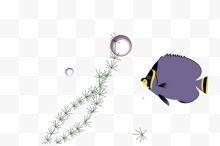 一只紫色扁片鱼