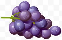 水滴紫葡萄