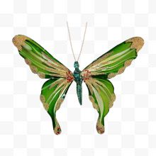 一只绿色蝴蝶
