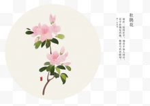 杜鹃花语